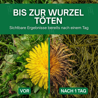 AEXZR® 3 in 1 Herbizid Maximaler Leistung – 24h sichtbare Ergebnisse⚡️