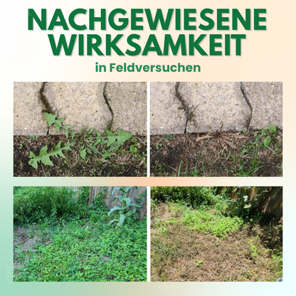 AEXZR® 5 in 1 Herbizid Maximalstärke⚡ Sichtbare Ergebnisse in 6 Std | Haustiersicher 🛡️